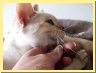 dscf5113.jpg