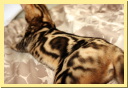 female_1_16wks2.jpg